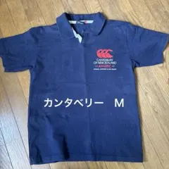 Item thumbnail for item db6d4df7-cf97-4f09-a3ae-116560500b8b