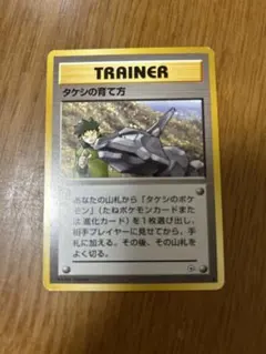 ポケモンカード　旧裏　タケシの育て方のサムネイル