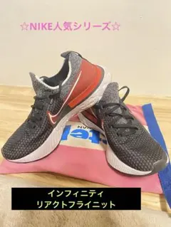 早いもの勝ち『やや美品』Nike インフィニティリアクトフライニット