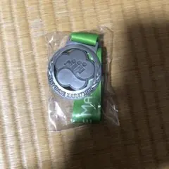 Item thumbnail for item 94ff4635-6fa5-4342-9b5e-65918e2921a6