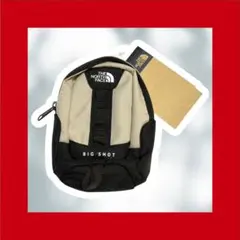 THE NORTH FACE MINI BIG SHOT ポーチ ベージュ