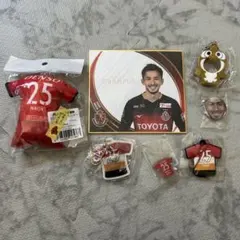 Item thumbnail for item 6c91a769-d29f-4e68-85ed-84ea6fd327ba