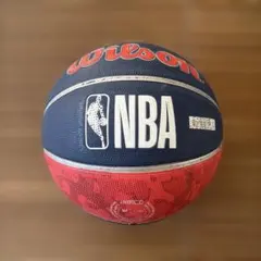 Wilson NBA ワシントンウィザーズ バスケットボール 7号