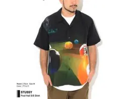 Item thumbnail for item 54737688-5363-4bc9-ba4b-17c2129fbfe7