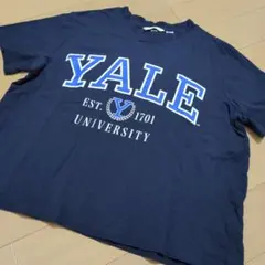 極美品Yale University 半袖Tシャツ M ネイビー