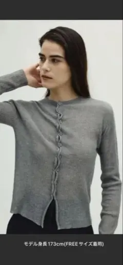 週末限定　Sheer rib spring knit シアーリブスプリングニット