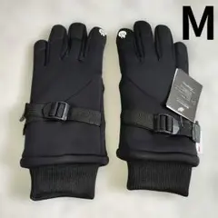 Item thumbnail for item 6de8b7ed-422f-4a33-b4e8-90be164d31e5