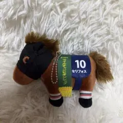 サラブレッドコレクション セリフォス