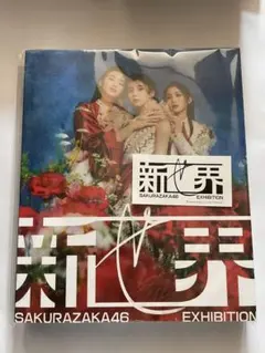 Item thumbnail for item 3d32e647-e61b-48f8-a45a-47ff76db6c1c