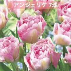 ta19805527様専用ページ