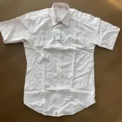 Item thumbnail for item 991a8f4e-4bf6-42bc-aca9-2b49b305062d