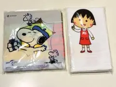 Item thumbnail for item 74d8c824-e9c8-48df-bb62-974983cf2c62