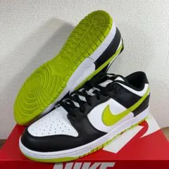 30cm ナイキ ダンク LOW レトロ DV0833-110