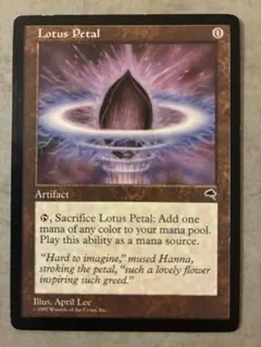 2026年最新】mtg 水蓮の花びらの人気アイテム - メルカリ