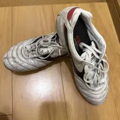 激レア 限定カラー左右色違い モレリア2 ジャパン おまけ付き 激レア 限定カラー左右色違い モレリア2 ジャパン おまけ付き - メルカリ