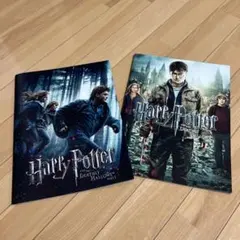 ハリー・ポッター 映画パンフレット 2冊セット