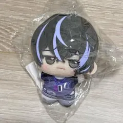 衣川季肋 ぬいパル 新品未開封 衣川季肋 ぬいパル - メルカリ