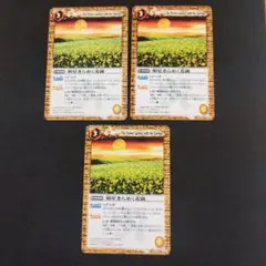 SO様 リクエスト 2点 まとめ商品