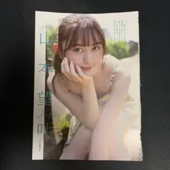 Item thumbnail for item 07bfc531-9207-40d8-93c8-dd30c458f6a6