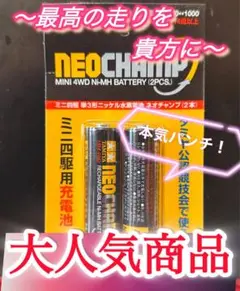 ミニ四駆】ネオチャンプ 慣らし済み 2セット 4本 - メルカリ