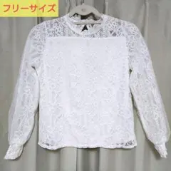 Item thumbnail for item 03f41c41-9fdc-48ce-a835-b6353cbca752