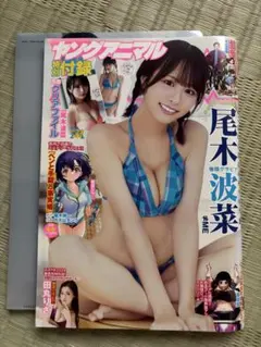 ヤングアニマル 2024年23号 尾木波菜 クリアファイル付