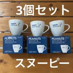 PEANUTS スヌーピー & マグカップ 3個セット