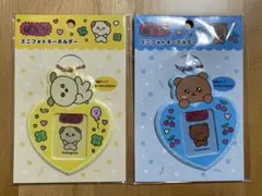 チェゴシム ミニフォトキーホルダー　トレカケース2種セット【ブルー・イエロー】