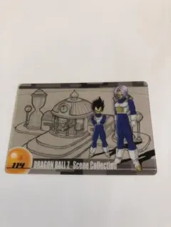 (美品) ドラゴンボールZ 精神と時の部屋 ベジータ親子