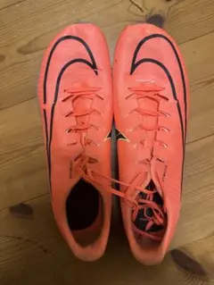 マックスフライマンゴーカラー