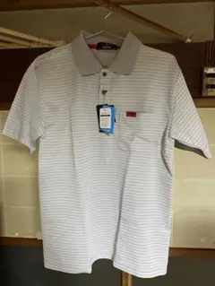 Item thumbnail for item 74b84a3b-c412-41cf-b310-fd3d6aec615e