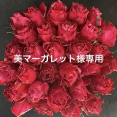 美マーガレット様専用　ラッピング込み