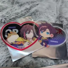 CrazyRaccoon きなこ