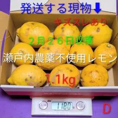 D ２月２６日収穫 新鮮！瀬戸内の農薬不使用レモン　キズスレあり