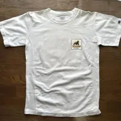 ※値下げしました XLARGE Champion コラボTシャツ M ホワイト