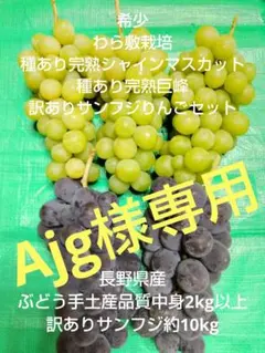 Ajg様用種あり完熟シャインマスカットと巨峰と訳ありりんご 長野産約12kg