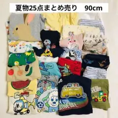 男の子　25点まとめ売り　90〜95cm 保育園　Tシャツ　半ズボン　上着