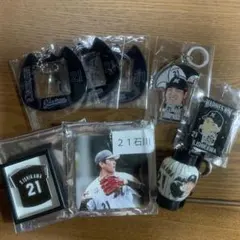 千葉ロッテマリーンズ　石川柊太　8点セット