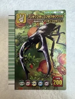 2026年最新】マンディブラリスフタマタクワガタ5周年の人気アイテム