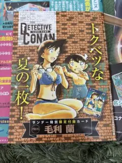 2026年最新】コナンカード プロモ 毛利蘭の人気アイテム - メルカリ