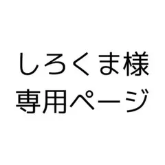 ラバーキーホルダー【しろくま様専用】