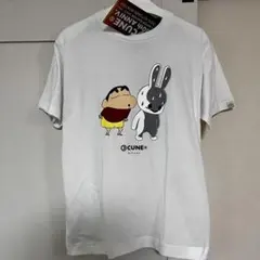 Item thumbnail for item 42687a6c-e70d-490d-9317-ecb50e5aae5e