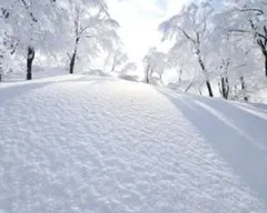 andmary ロングワンピース