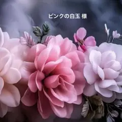専用