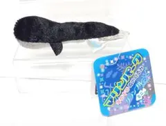 【とりあえず】謎生物ぬいぐるみ！！！！！！！！！！！！！！！！！！！【グラブる】