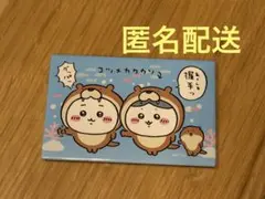 ちいかわ水族館　コツメカワウソ　マグネット