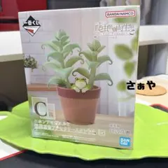 一番くじ 爬虫類・両生類 C賞 ニホンアマガエルと観葉植物アクセサリー