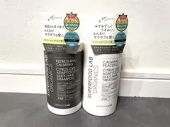 Item thumbnail for item 5e83953c-512b-4fbf-b7b9-52f6ca225726