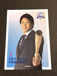 東京ヤクルトスワローズ 山田哲人 応燕シリーズ カード