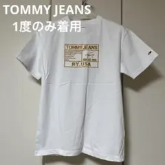 トミージーンズ TOMMY JEANS トミーフィルガー Tシャツ メンズ